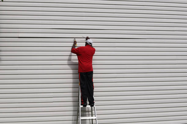 Best Vinyl Siding Installation  in South St Paul, MN
